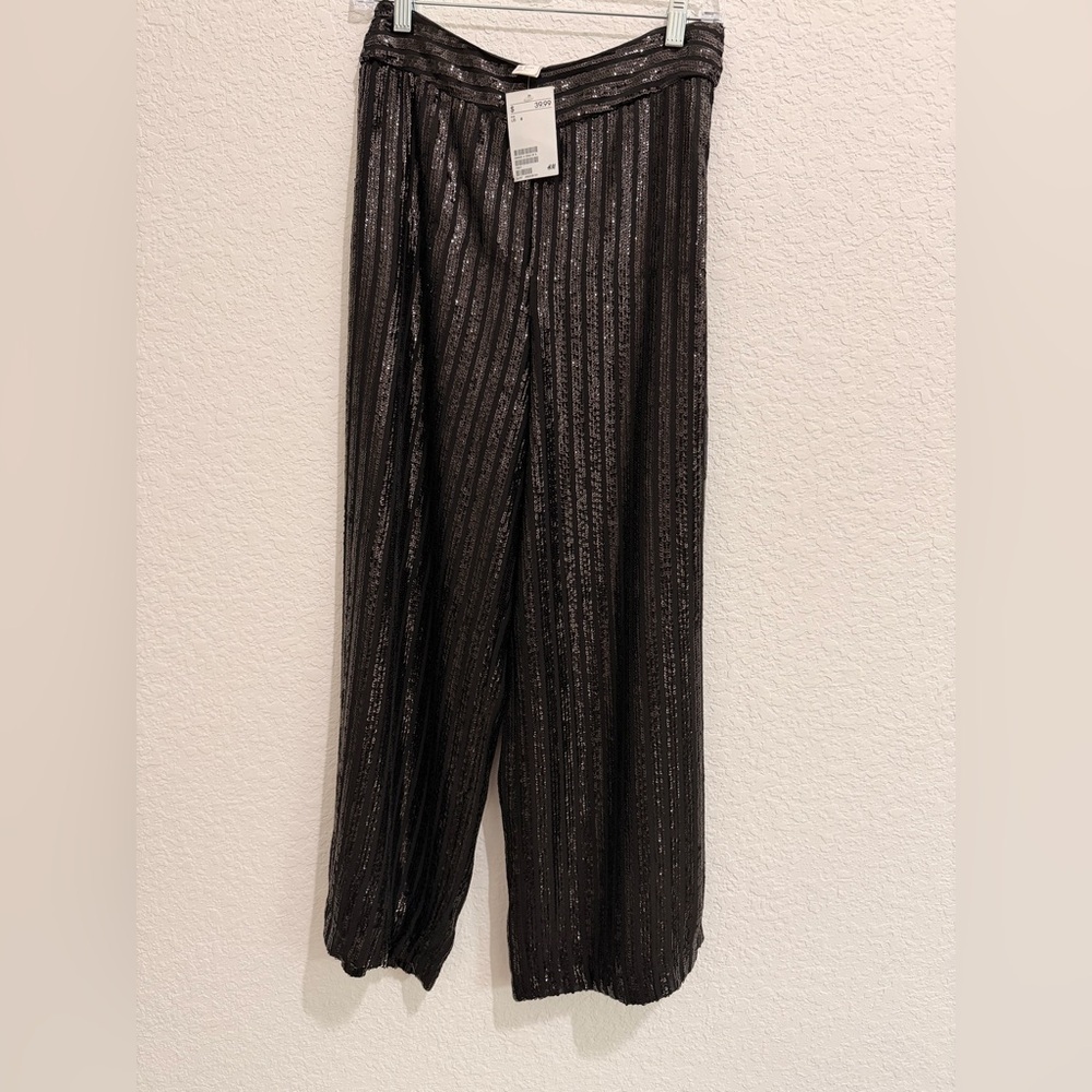 H&M Sequined Culottes with Side Zipper – Retro Revival & Y2K Sparkle ✨